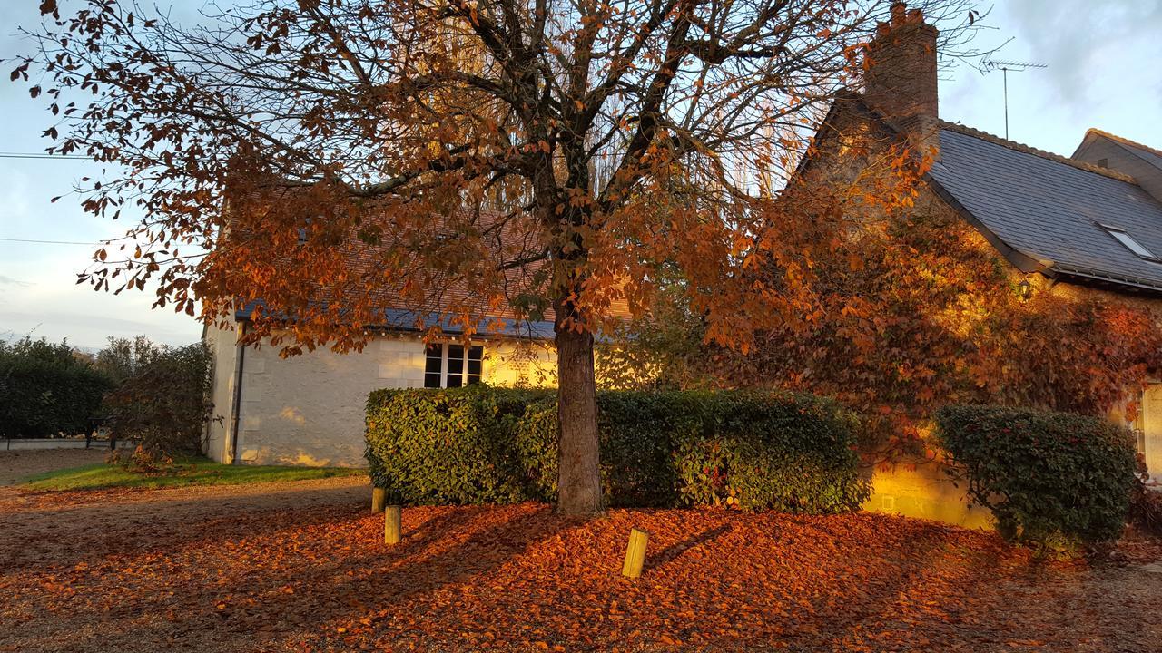 Moulin De Bacchus Bed & Breakfast Chançay Exterior foto